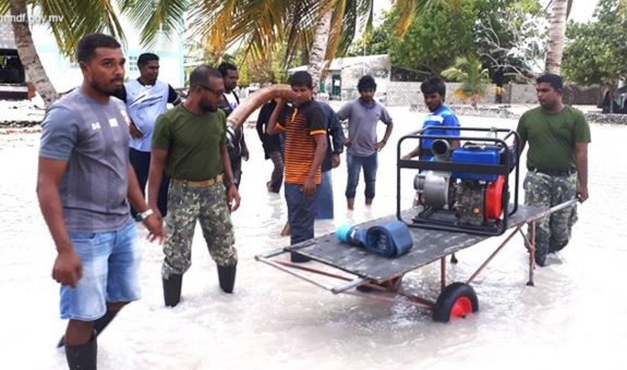 mndf