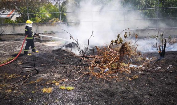 އައްޑޫ މައިލޯ ދަނޑުގައި ރޯވި އަލިފާންގަނޑު ނިއްވާލަނީ - ފޮޓޯ: އެމްއެންޑީއެފް