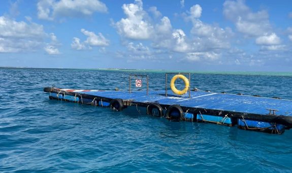 viber_image_2022-01-02_21-25-52-151